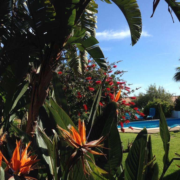 تْشيفالو B&B Villa Di Giorgi المظهر الخارجي الصورة