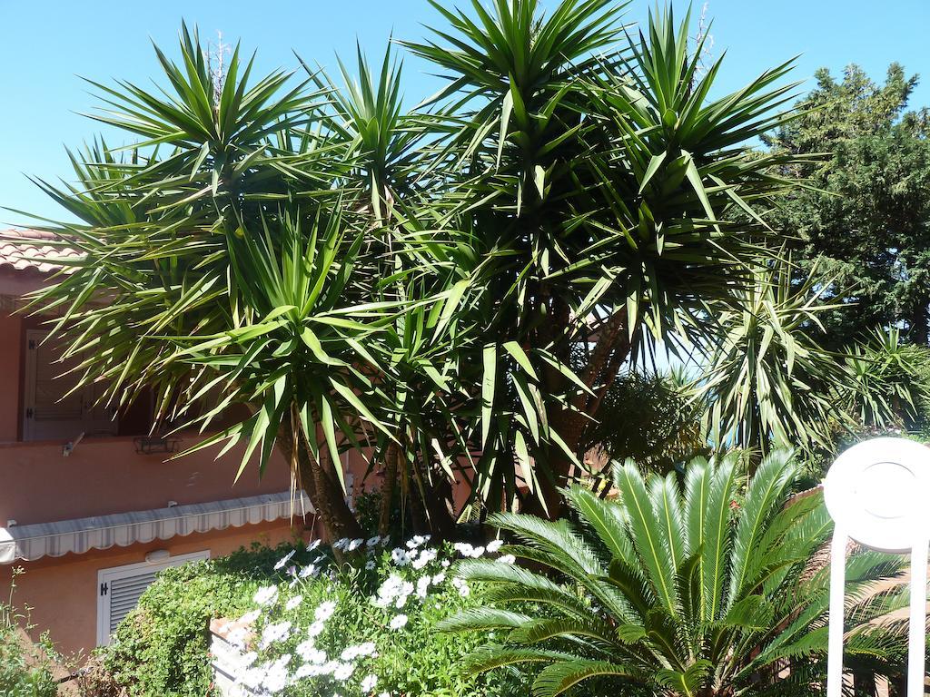 تْشيفالو B&B Villa Di Giorgi المظهر الخارجي الصورة